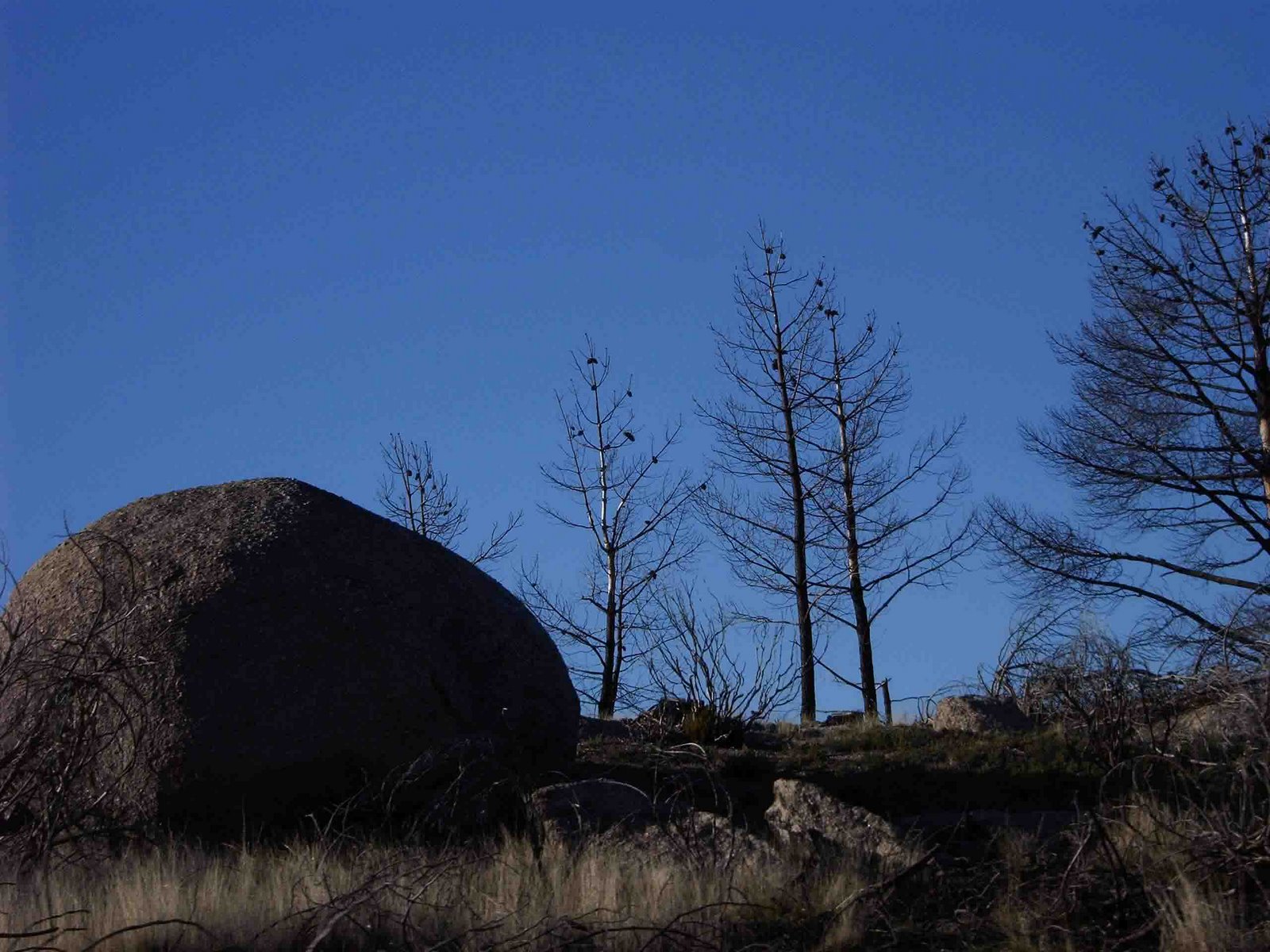 [CAPTURADO_2004_11_10_00035.jpg]