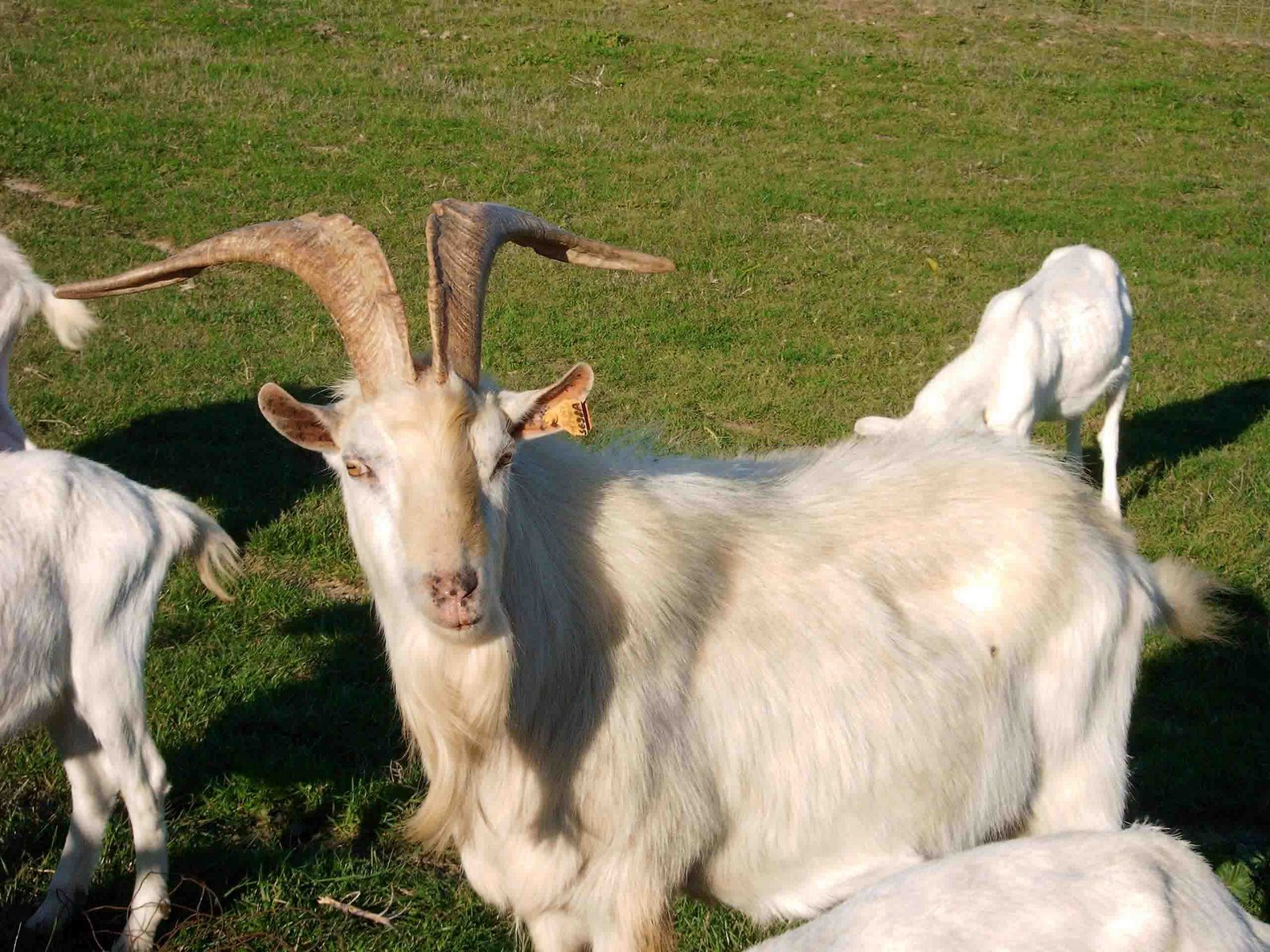 [CAPTURADO_2004_11_13_00035.jpg]