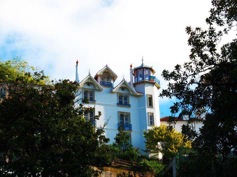 [11-07-2009_098.jpg]