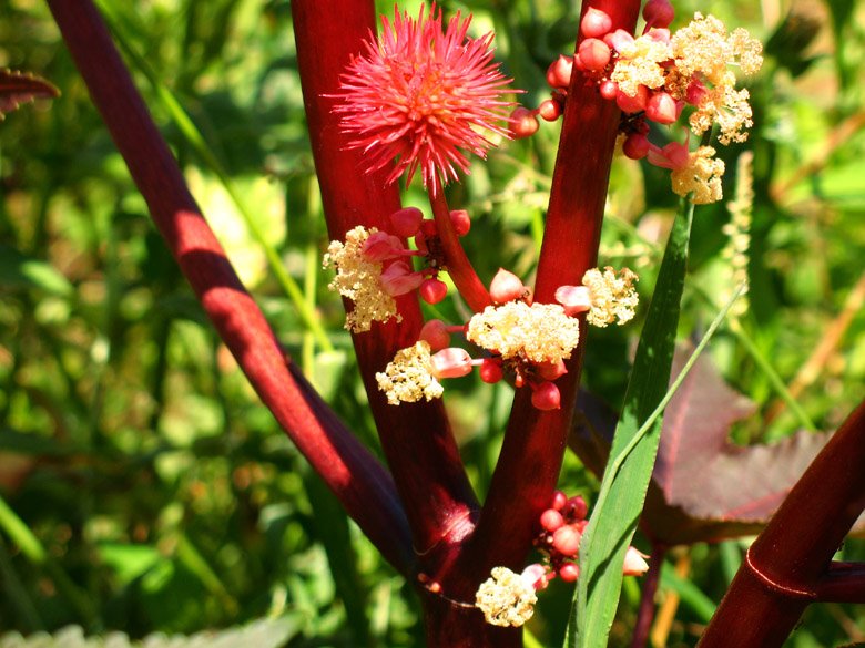 [06-08-2009_105.jpg]