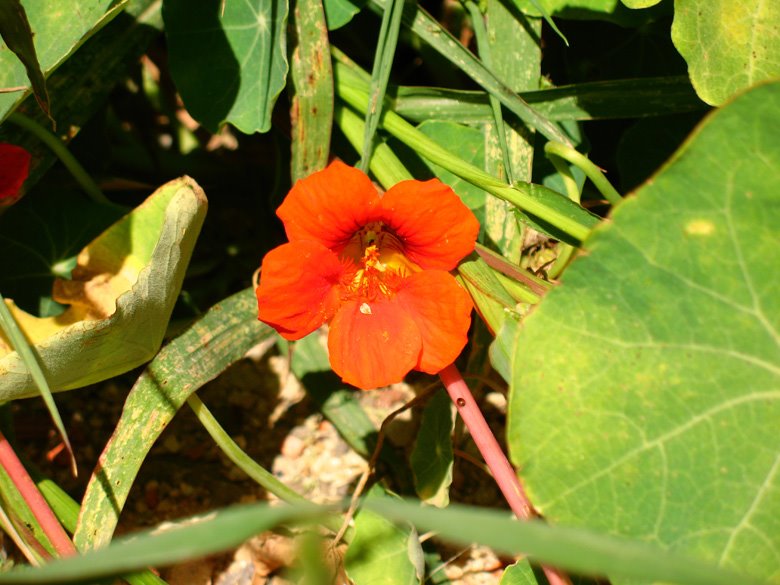 [06-08-2009_098.jpg]