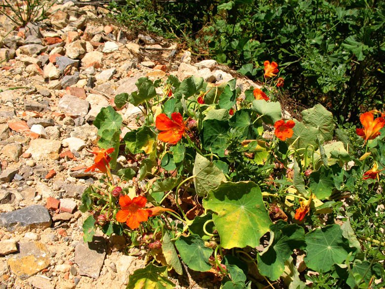 [06-08-2009_090.jpg]