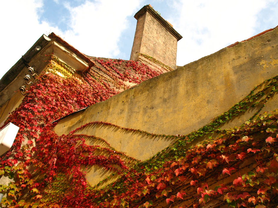 [11-11-2009_015.jpg]