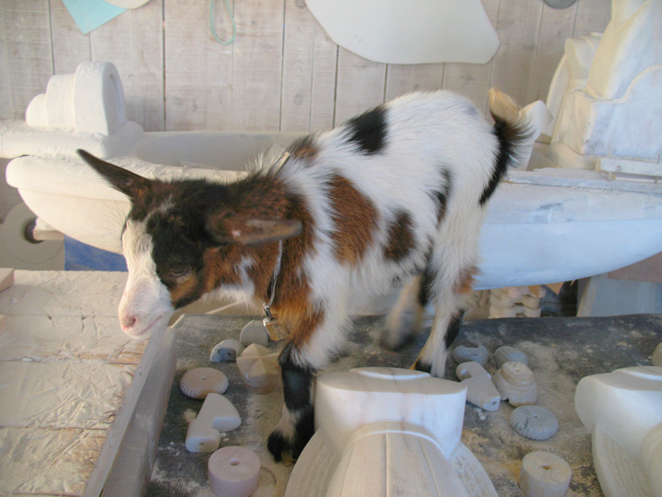 [30-12-2009_056.jpg]