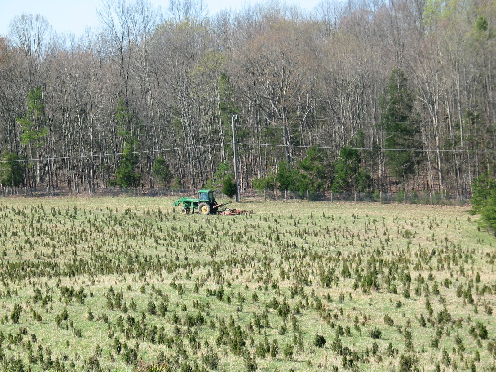 Losing Our Shirts, Keeping The Farm: Bush Hogs