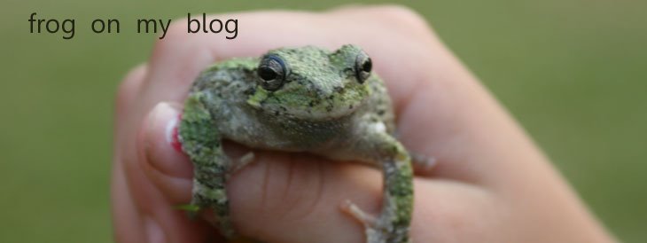 frogonmyblog