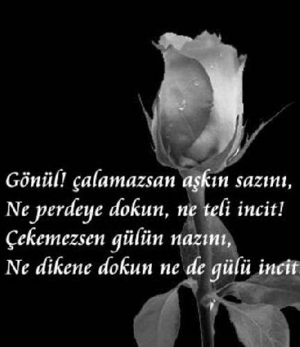Şiir Defteri: Şiirli Resimler(3)