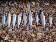 Here fishy..fishy...