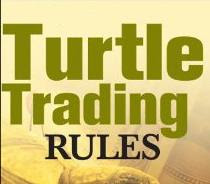 Turtle trading forex