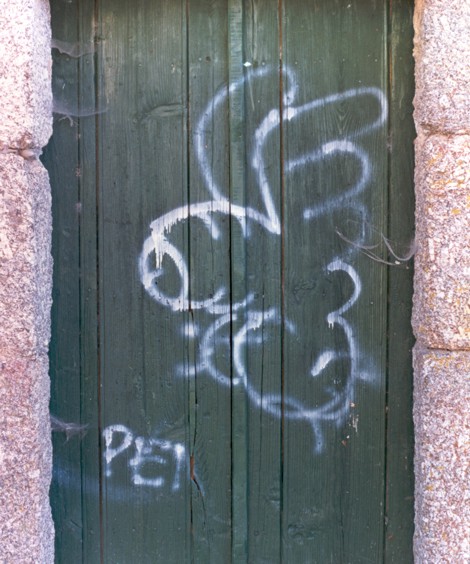 [penis_migratoris_470.jpg]