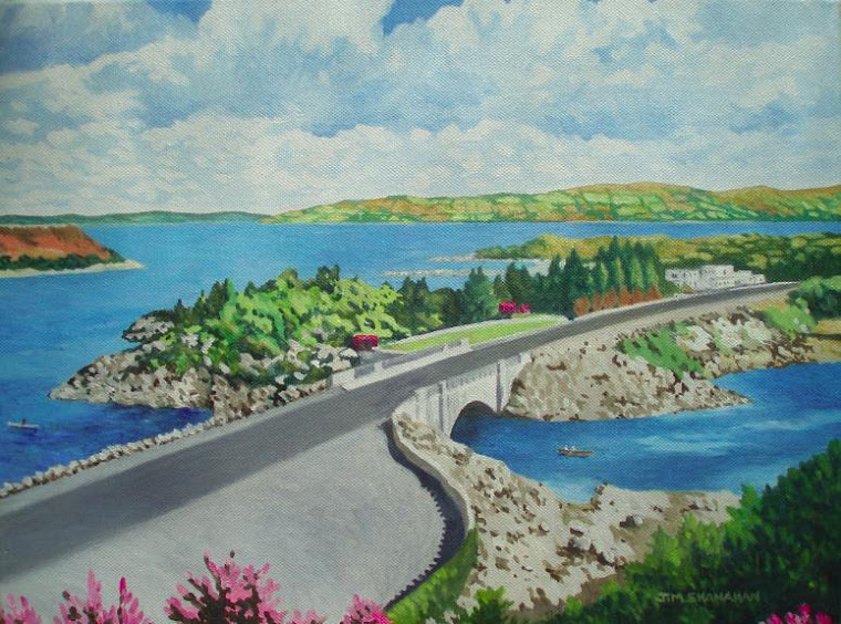 Pontoon Bridge, Mayo --  Sold