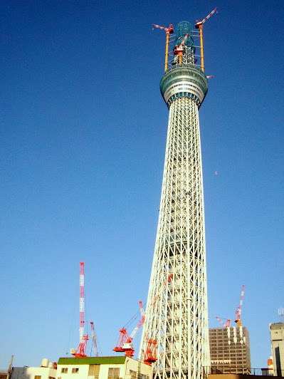 業平橋から見た建設中(497m)の東京スカイツリー
