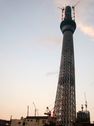 業平橋から見た建設中(488m)の東京スカイツリー
