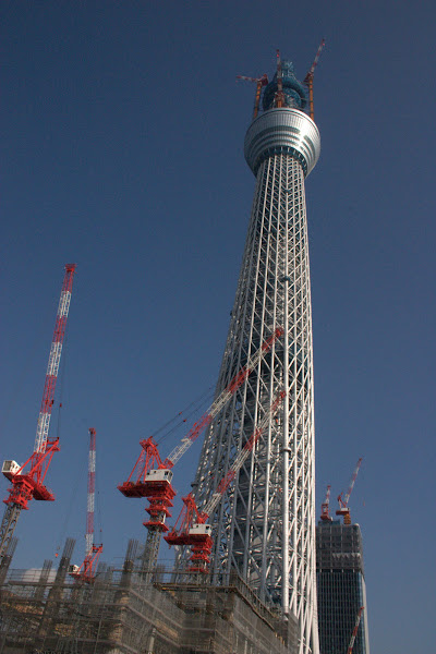 東武橋から見た建設中(529m)の東京スカイツリー