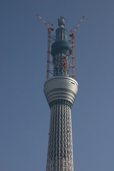 源森橋から見た建設中(529m)の東京スカイツリー・ズーム