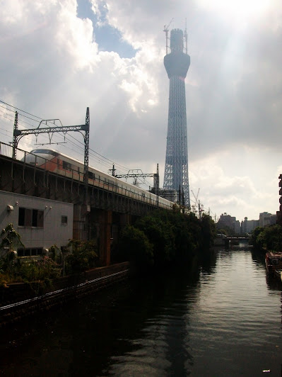 枕橋から見た建設中(438m)の東京スカイツリー