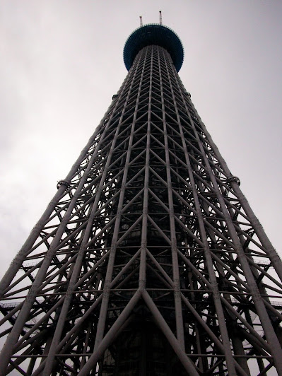タワー街区正面から見た建設中の東京スカイツリー