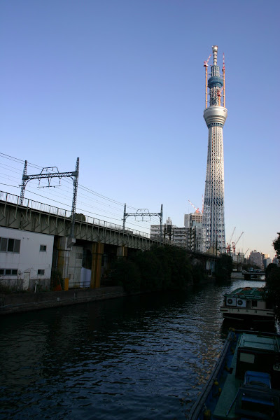 枕橋から見た建設中(559m)の東京スカイツリー