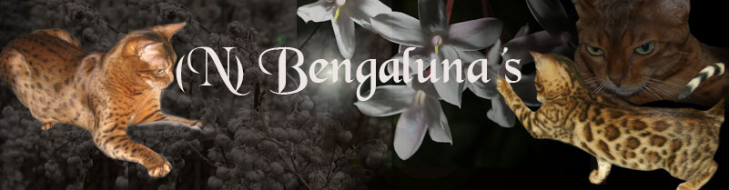 (N) Bengaluna's