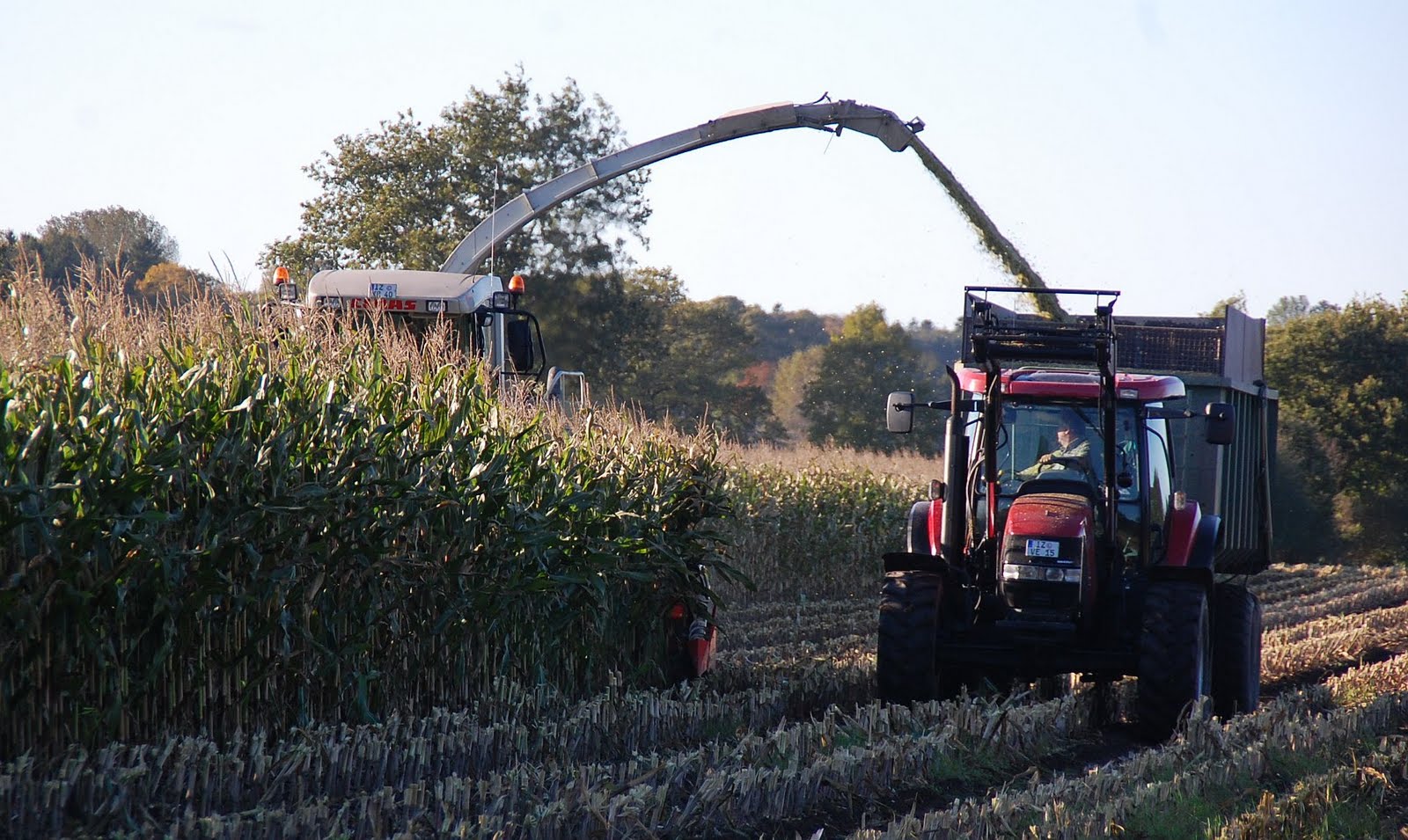 Hohenaspe Eine Gemeinde Stellt Sich Vor Oktober 2010