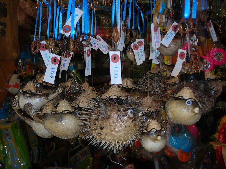Enoshima Island , Japan - FUGU Blowfish