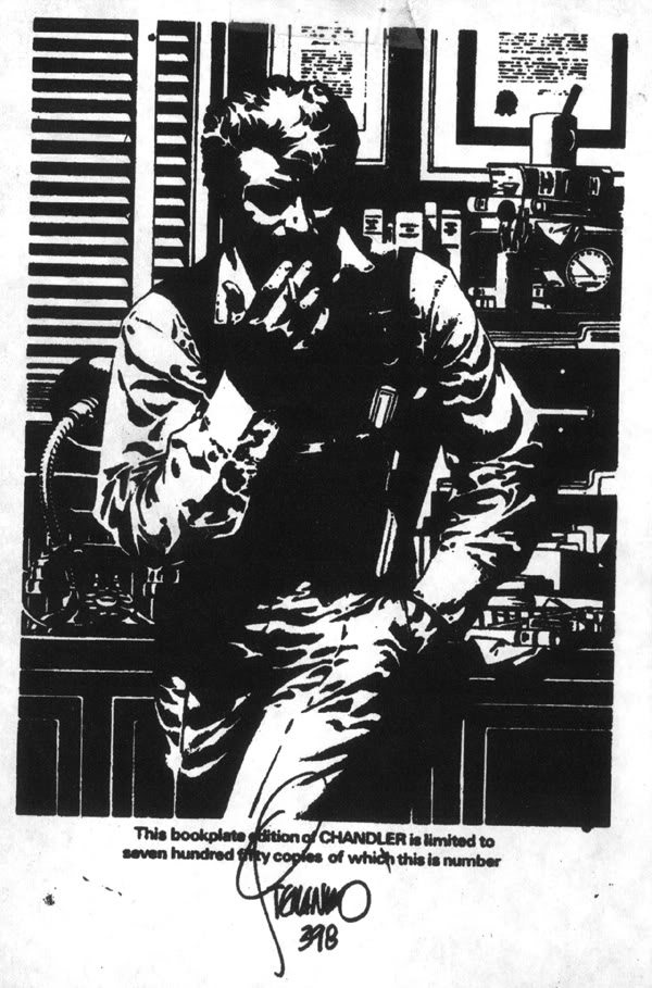 [STERANKO_chandler_bookpiece.jpg]