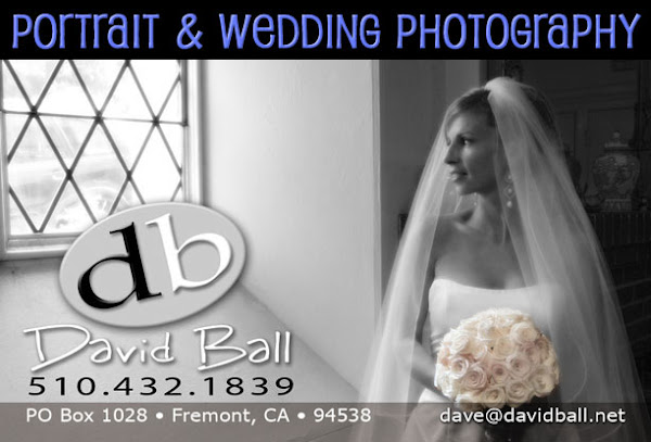 Portrait & Wedding Photography by David Ball