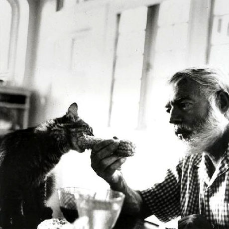 Gatto che mangia la pannocchia di Ernest Hemingway