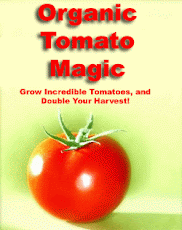 Grow Tomatoes