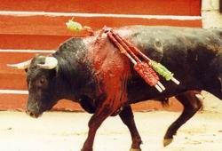 [touradas2.jpg]