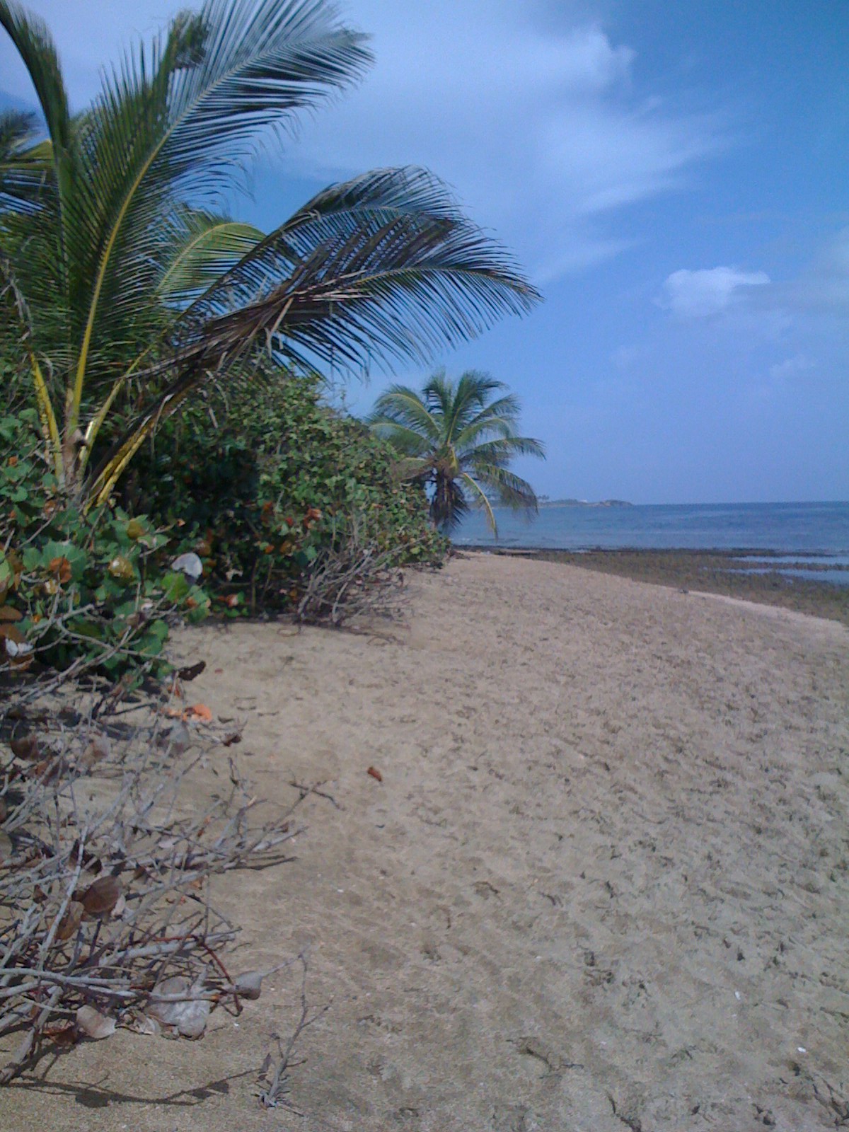 [trip+tp+puerto+rico+080.jpg]