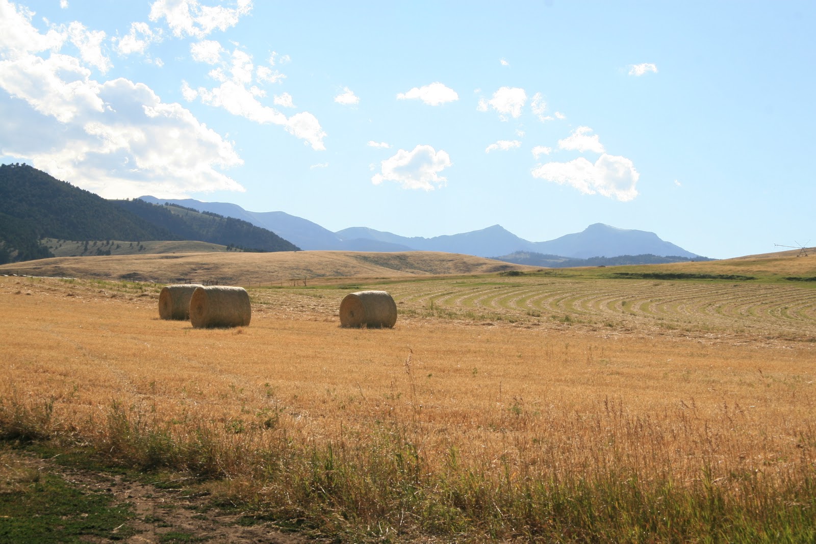 Trails End Ranch, Pony MT