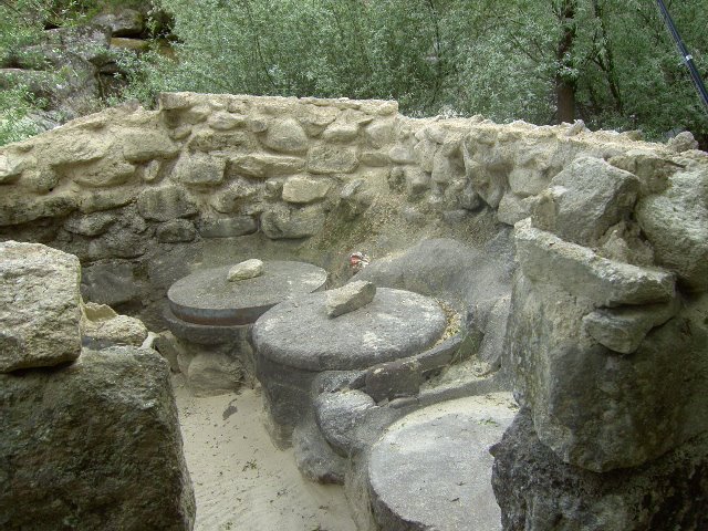 [Pardieirosonline+(3).JPG]