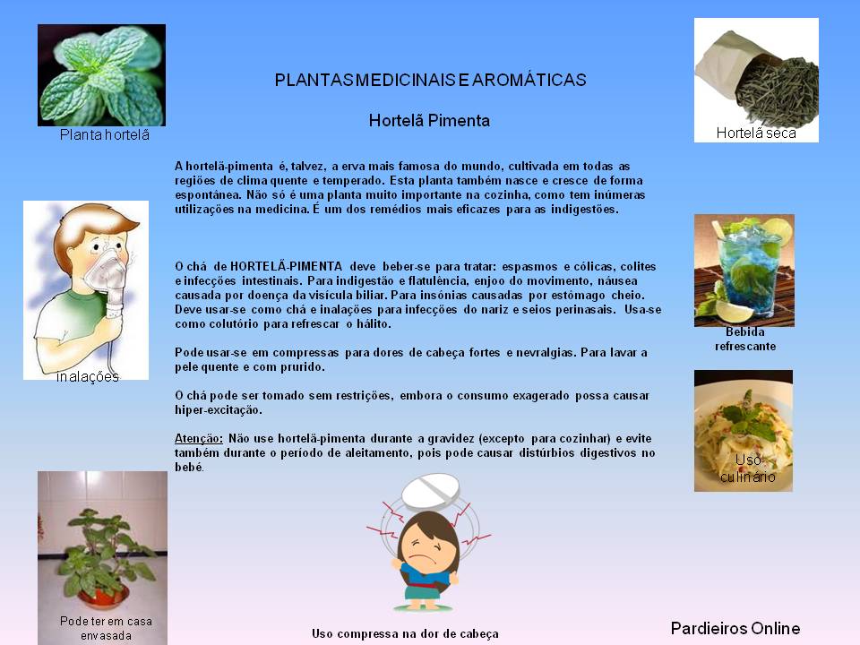 [HOTELA_PIMENTA+1.jpg]