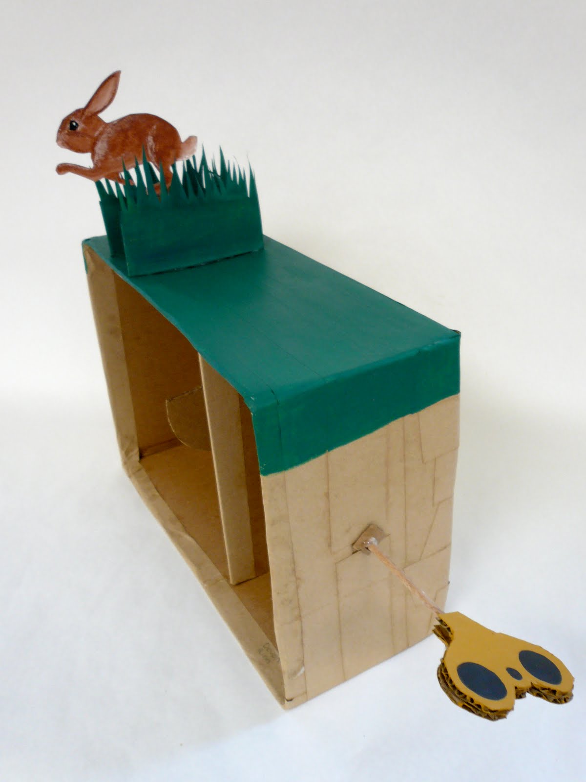 Time: Bunny Automata