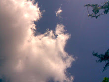 y de tus ojos se aleja y se te va de las manos