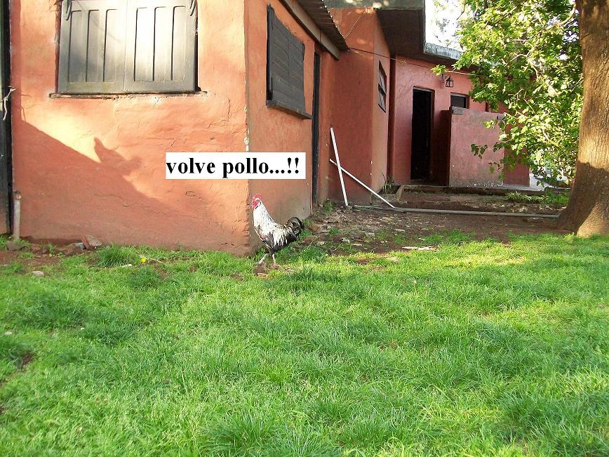 [Imagen+265.jpg]