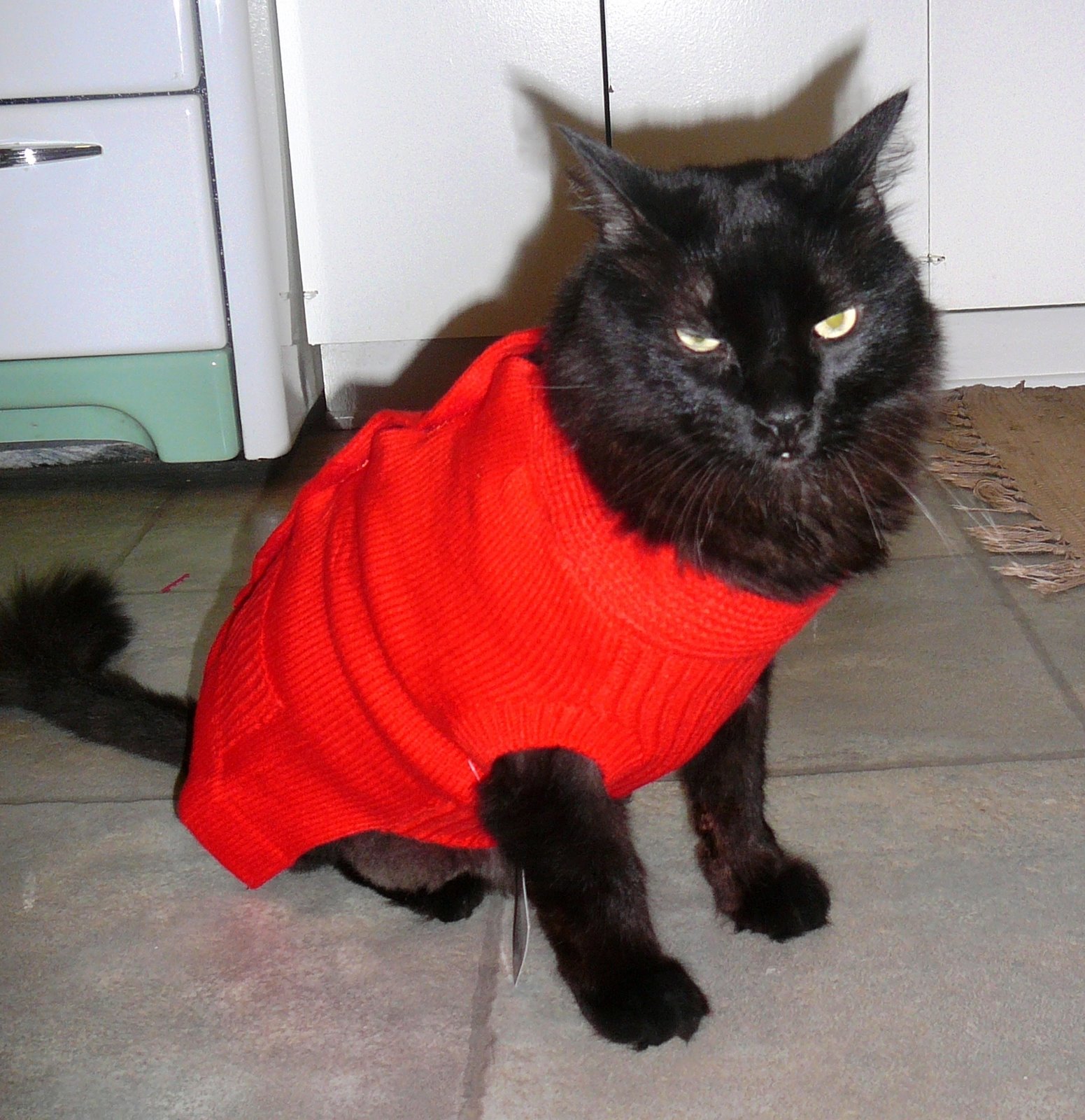 [MoMo_sweater[1].JPG]