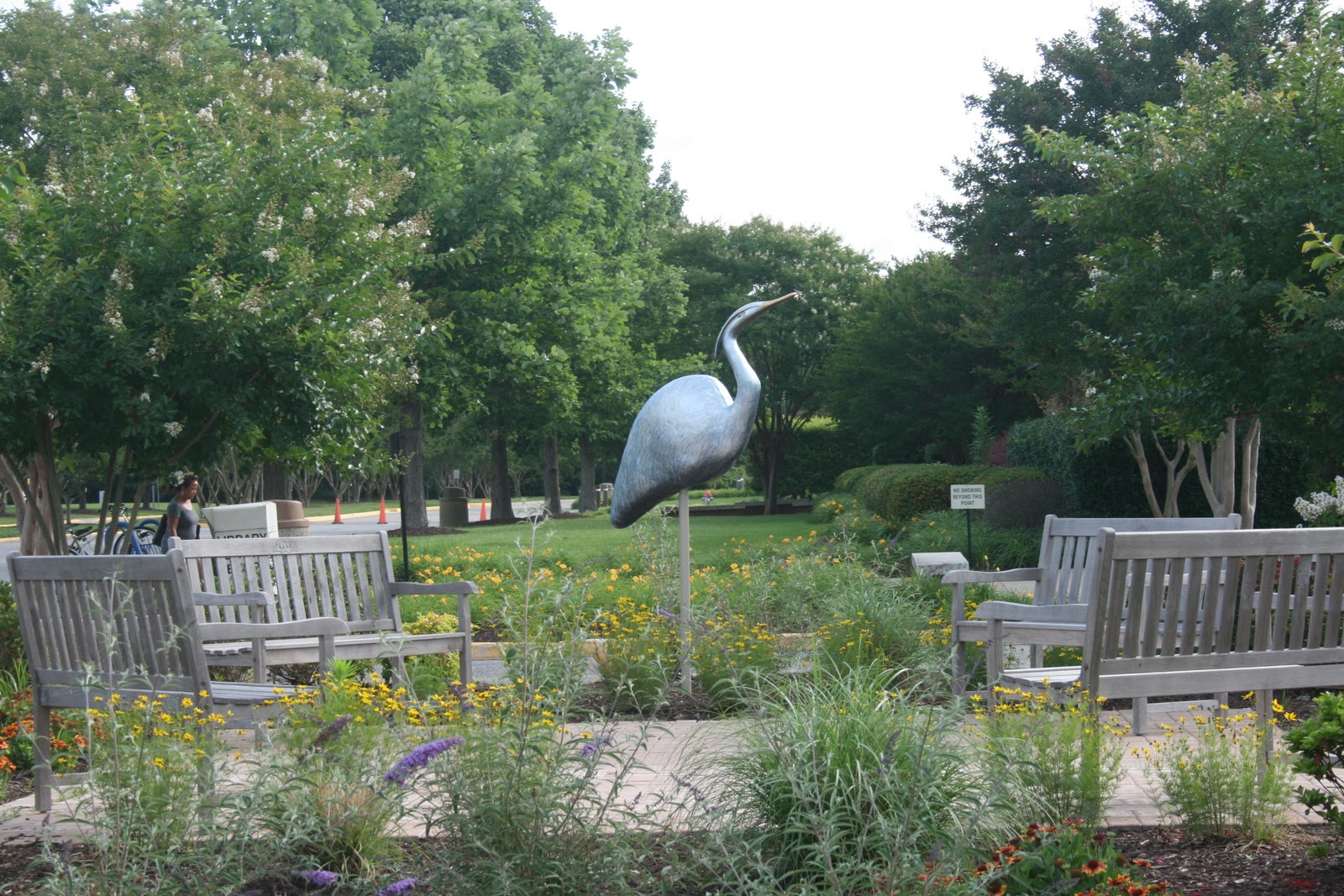 City of Chesapeake Treasurer's Office A New Heron Has Landed!