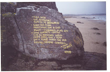 Poema playa Punta Colorada
