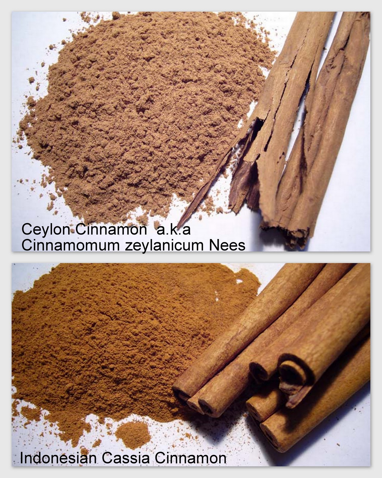 The HealthNut Corner Coumarin & CinnamonGood OR BAD