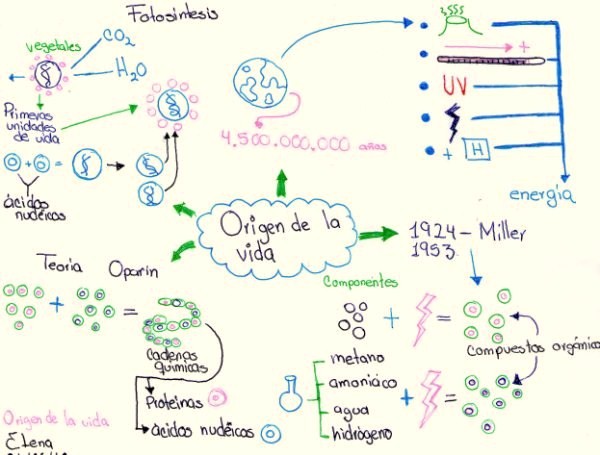 Mapa Mental Del Origen De La Vida jbelenarp.blogspot.com
