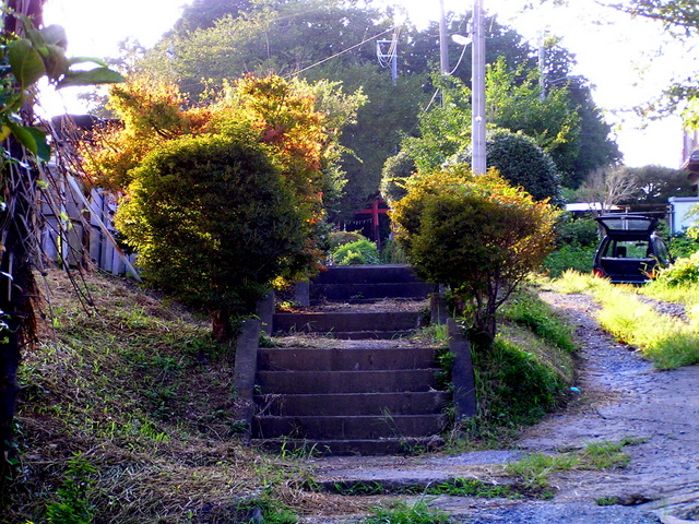 すごいぞ！埼玉 若宮八幡古墳（東松山市）