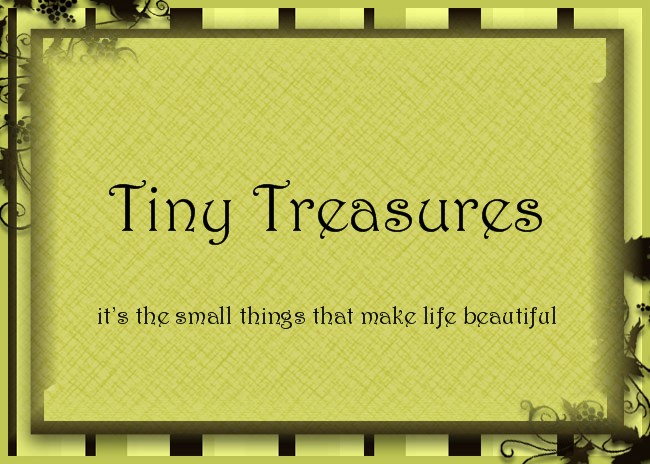 Tiny Treasures