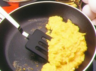 [ScrambledEgg.jpg]