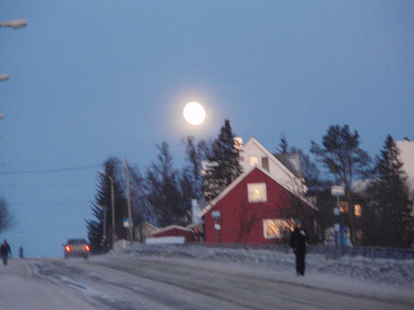 See the Moon