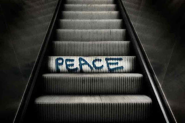 The Public Eye Blog Escalator To PEACE