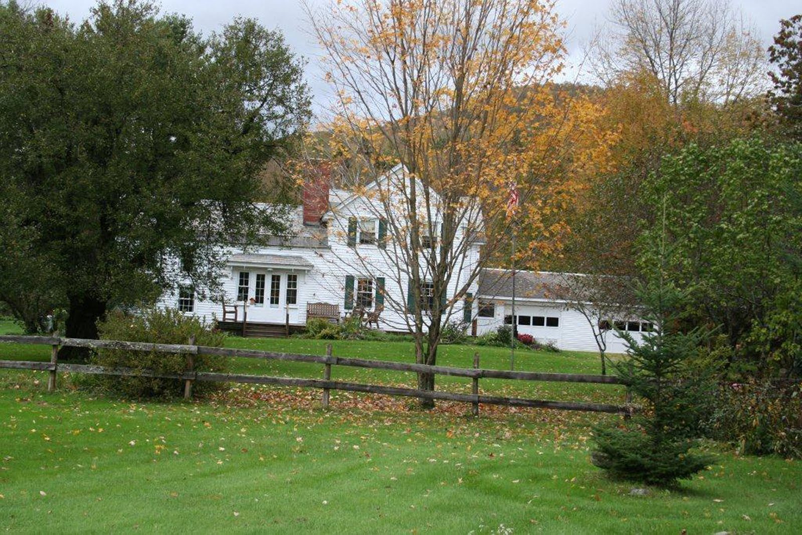 HomeCountry THE DOCTOR’S DAFFODILS Saving Furnace Brook Farm