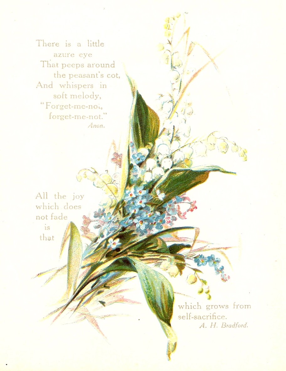 [ScannedImage-9.jpg]