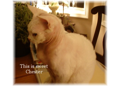 [2-21-07+006+rev.jpg]